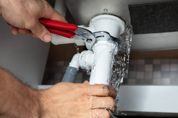 Best Flood damage cleanup  in Brownsville, FL