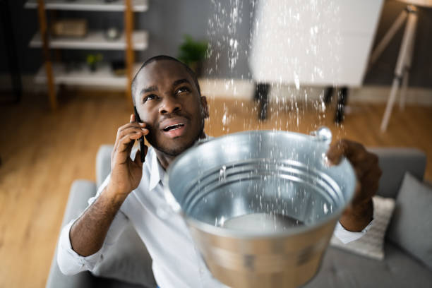 Best Water damage restoration mold remediation  in Brownsville, FL