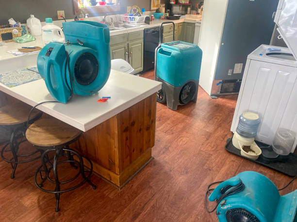 Best Commercial water damage restoration  in Brownsville, FL