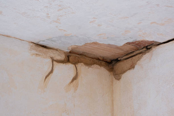 Best Residential water damage restoration  in Brownsville, FL
