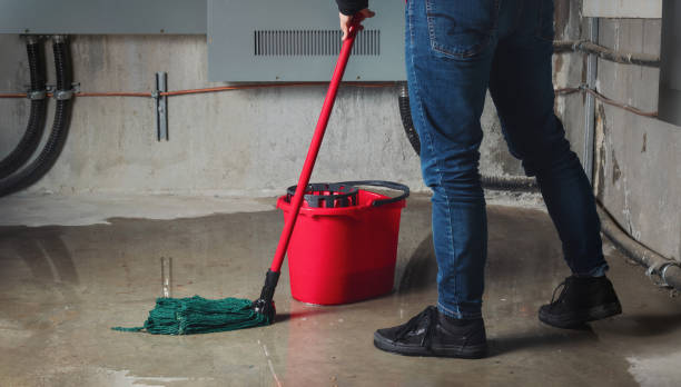 Best Water damage restoration near me  in Brownsville, FL