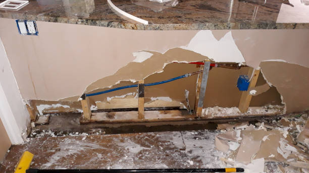 Best Ceiling water damage repair  in Brownsville, FL