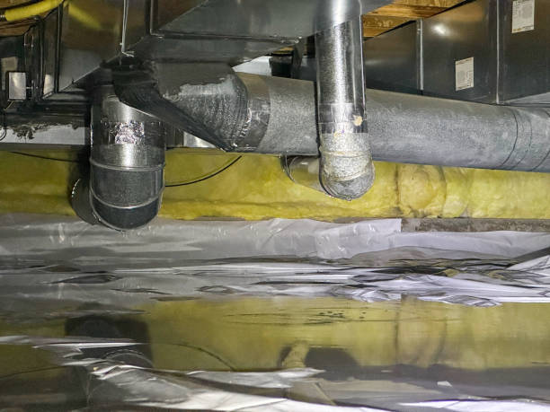Best Carpet water damage restoration  in Brownsville, FL