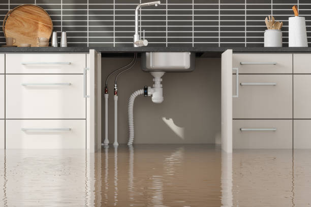 Best Water damage restoration experts  in Brownsville, FL