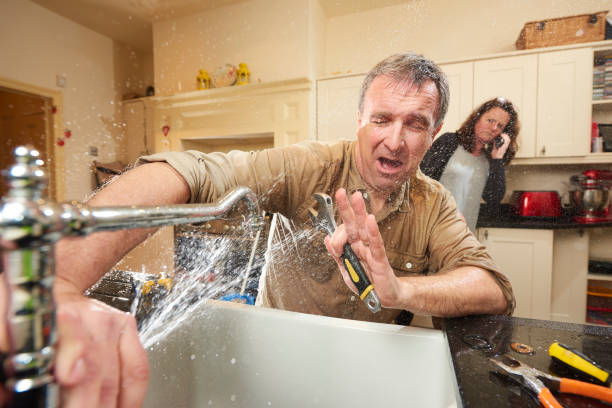 Best Residential water damage restoration  in Brownsville, FL